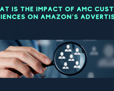 Understanding AMC Custom Audiences Effectiveness