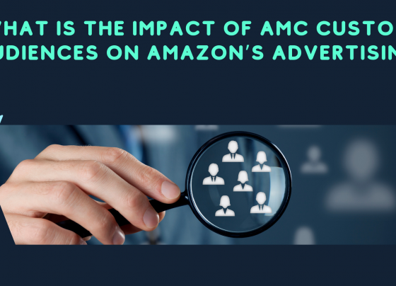 Understanding AMC Custom Audiences Effectiveness